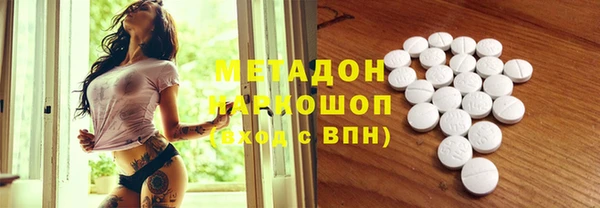 прущие грибы Новозыбков
