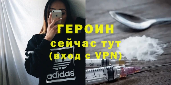 прущие грибы Новозыбков