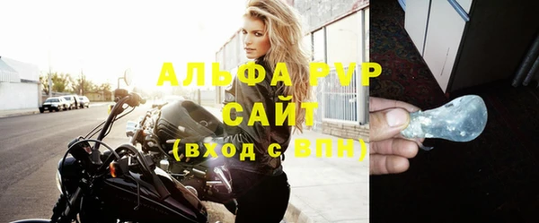 прущие грибы Новозыбков