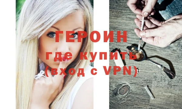прущие грибы Новозыбков