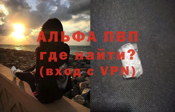 прущие грибы Новозыбков