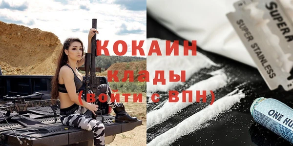 прущие грибы Новозыбков