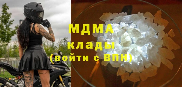 прущие грибы Новозыбков