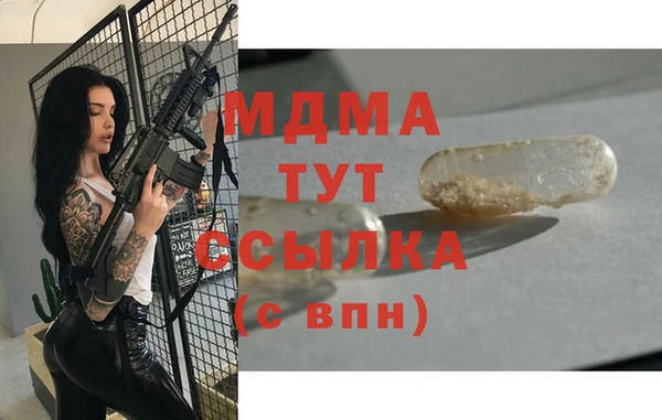 прущие грибы Новозыбков
