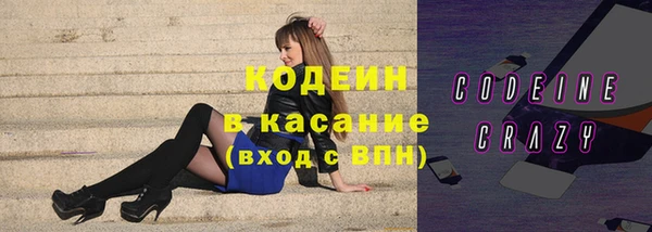 прущие грибы Новозыбков