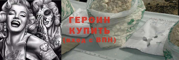 прущие грибы Новозыбков