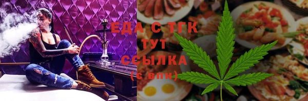 прущие грибы Новозыбков
