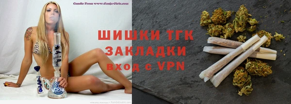прущие грибы Новозыбков