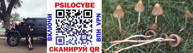 Псилоцибиновые грибы мицелий  Купить где  Каменск-Шахтинский 